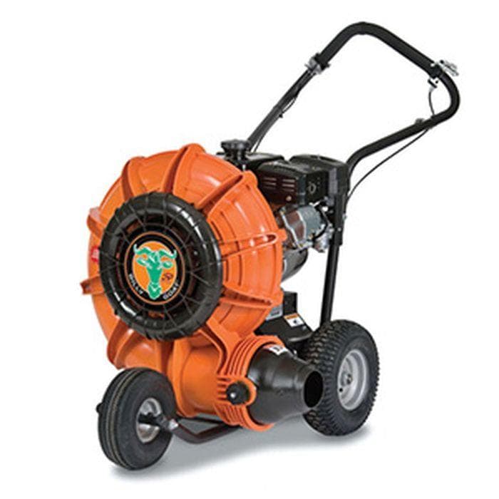 Walk Behind Leaf Blower in Perth