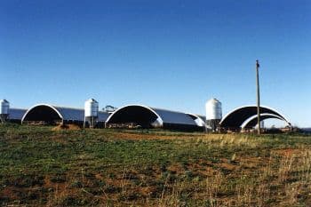 Livestock Shelter